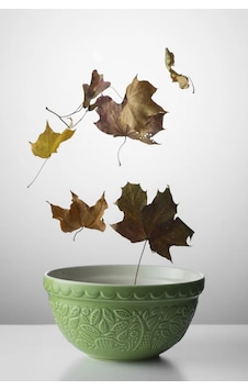 In The Forest 21cm Hedgehog Mixing Bowl Karıştırma Kasesi Yeşil In The Forest 21cm Hedgehog Mixing Bowl Karıştırma Kasesi Yeşil