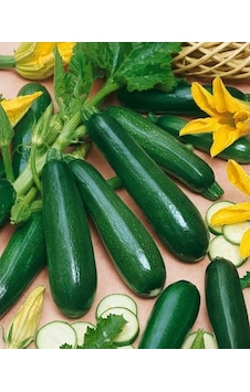 Yerli Siyah Dolma Kabak Tohumu Kolsuz 10 GR Ort 75 Ad N111570