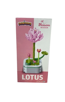 Saksılı Çiçek Lotus 6337 Saksılı Çiçek Lotus 6337