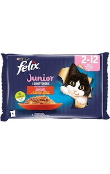 Felix Kedi Maması Sığır Etli & Tavuklu Ekonomik Paket 12'li 4 x 85 G