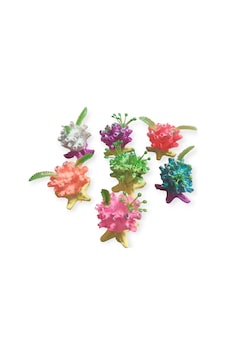 Akvaryum Canlı Renkli Mini Mercan Dekorasyonu 6x6 Cm 1 Adet Akvaryum Canlı Renkli Mini Mercan Dekorasyonu 6x6 Cm 1 Adet