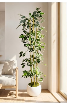 Yapay Alacalı Ficus Ağacı 3 Bambulu 110 Cm 27 33 Beyaz Küre Saksılı Yapay Alacalı Ficus Ağacı 3 Bambulu 110 Cm 27 33 Beyaz Küre Saksılı