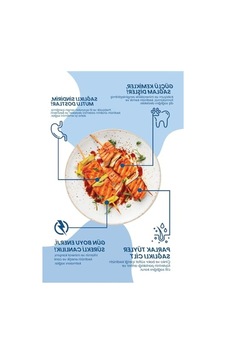 Somonlu Düşük Tahıllı Kısır Kedi Maması, 2 Kg, Hipoalerjenik 100 G Somonlu Düşük Tahıllı Kısır Kedi Maması, 2 Kg, Hipoalerjenik 100 G