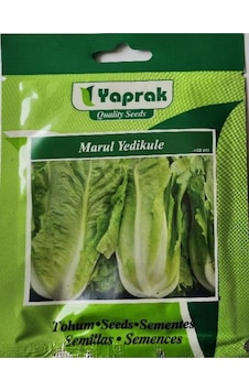 Marul Tohumu Yedikule 10 Gr Marul Tohumu Yedikule 10 Gr