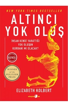 Altıncı Yok  Oluş