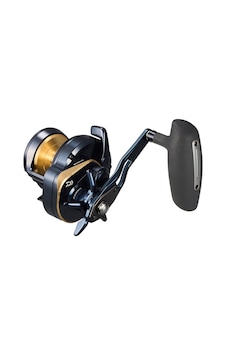 Daiwa 25 Saltiga 10hl Makine Daiwa 25 Saltiga 10hl Makine