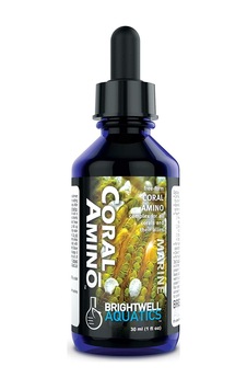 Brightwell CoralAmino - Amino Asit 30 ML (Mercanlar İçin)