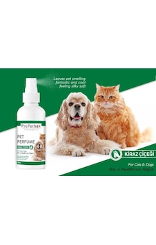 Pro Perfeck Kedi ve Köpek Kiraz Çiçeği Parfüm 100 ML Pro Perfeck Kedi ve Köpek Kiraz Çiçeği Parfüm 100 ML