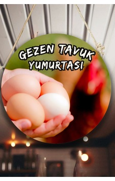Gezen Tavuk Yumurtası Dükkanı Duvar, Kapı, Çift Taraflı Askılı Karşılama Tabela, Günlük Yumurta Süs, 30 X 50 Cm Diğer