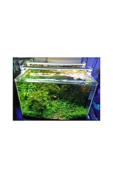 Ayrex Orionled Akvaryum Plastik Led Aydınlatma Beyaz 30cm 6500k Ayrex Orionled Akvaryum Plastik Led Aydınlatma Beyaz 30cm 6500k