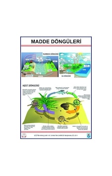 Madde Döngüleri Lev. Karbon. Azot ve Su Döngüleri-70X100CM Madde Döngüleri Lev. Karbon. Azot ve Su Döngüleri-70X100CM