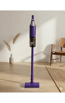 Regal RK1000 500 W Kablolu Dikey Süpürge