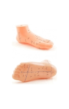 Akupunktur Eğitim Ayak Maketi Anatomik Refleksoloji Nokta Gösterim Modeli Eğitim Maketi Akupunktur Eğitim Ayak Maketi Anatomik Refleksoloji Nokta Gösterim Modeli Eğitim Maketi