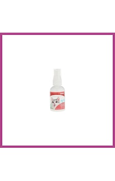 Gees Global Catnip Kedi Otu Nanesi Spreyi 50 Ml Gbzs Gees Global Catnip Kedi Otu Nanesi Spreyi 50 Ml Gbzs