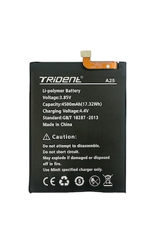 Trident A25 Batarya Pil 4500 Mah Aaa Kalite