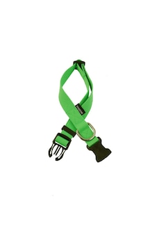 Actirex Neon Yumuşak Doku Ayarlanabilir Köpek Boyun Tasma Green 4 Yeşil Actirex Neon Yumuşak Doku Ayarlanabilir Köpek Boyun Tasma Green 4 Yeşil