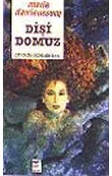 Dişi Domuz- Yön Yayıncılık Dişi Domuz- Yön Yayıncılık