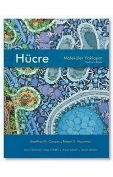 Hücre Moleküler Yaklaşım Ciltsiz