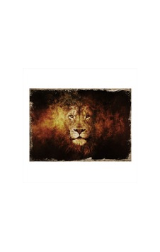 Bedeko Yaşlı Aslan Art Mdf Poster 25 Cm X 35 Cm Bedeko Yaşlı Aslan Art Mdf Poster 25 Cm X 35 Cm