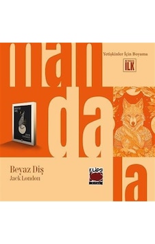 Mandala Dünyası Beyaz Diş / Kolektif Mandala Dünyası Beyaz Diş / Kolektif