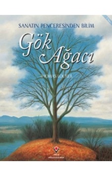 Gök Ağacı Gök Ağacı