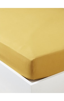 Maki %100 Pamuk Hardal 90X190 Tek Kişilik Lastikli Çarşaf Takımı Maki %100 Pamuk Hardal 90X190 Tek Kişilik Lastikli Çarşaf Takımı
