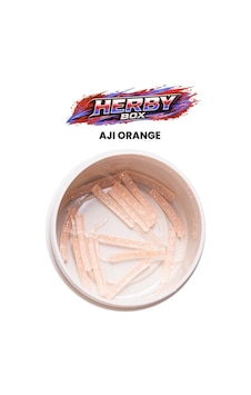 Pandora Herby Sızdırmaz Kutu Lrf Silikon Aji Orange 15 Pcs Pandora Herby Sızdırmaz Kutu Lrf Silikon Aji Orange 15 Pcs