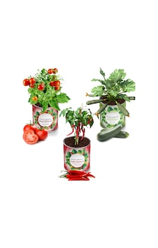 Konserve Bahçem Domates + Acı Biber + Kabak Yetiştirme Kiti 3 Adet