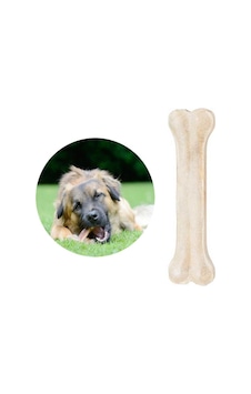 Single Beyaz Pres Kemik 12.5 5'Lİ 50 G Single Beyaz Pres Kemik 12.5 5'Lİ 50 G