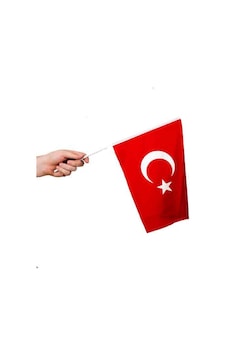 Sopalı Bez Bayrak Çıtalı Bayrak 20x30 Cm - 1 Adet 100 X 10 Cm Sopalı Bez Bayrak Çıtalı Bayrak 20x30 Cm - 1 Adet 100 X 10 Cm
