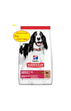 Hill's Kuzu Etli Pirinçli Orta Irk Yetişkin Köpek Maması 12 KG + 2 KG Hill's Kuzu Etli Pirinçli Orta Irk Yetişkin Köpek Maması 12 KG + 2 KG
