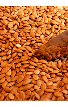 Acı Kayısı Çekirdeği 750 Gr Doğal Kekre Acıdır.
