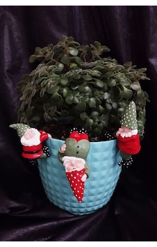 Boyalı Üçlü Noel Baba Teraryum Obje Saksı Süsü Dekoratif Obje 3 Adet Boyalı Üçlü Noel Baba Teraryum Obje Saksı Süsü Dekoratif Obje 3 Adet
