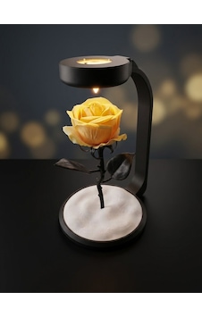 Moonlamp Sarı Gül Dekoratif Hediyelik Lamba Moonlamp Sarı Gül Dekoratif Hediyelik Lamba