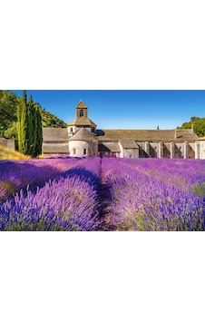 Castorland 1000 Parça Puzzle Lavender Field İn Provence