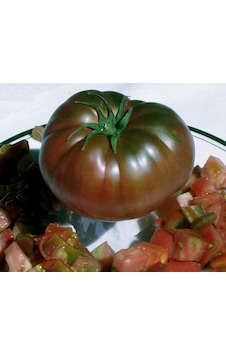 10+ Adet Siyah Domates Tohumu Black Krim Domates Sırık Tipi