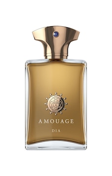 Amouage Dia Edp 100 Ml Erkek Parfüm Oryantal Amouage Dia Edp 100 Ml Erkek Parfüm Oryantal