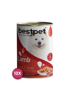 Bestpet Jöle İçinde Parça Kuzu Etli Konserve Yetişkin Köpek Maması 400 Gr X 12 Adet Bestpet Jöle İçinde Parça Kuzu Etli Konserve Yetişkin Köpek Maması 400 Gr X 12 Adet