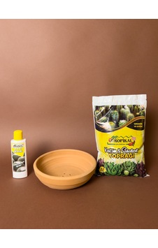 Kaktüs Bakım Seti Toprak Saksı + 2,5 Lt Kaktüs Toprağı + 225 Ml Kaktüs Besini