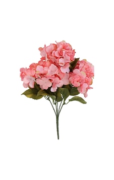 5 Dal Lux Pastel Ortanca Demeti Pembe Pembe 5 Dal Lux Pastel Ortanca Demeti Pembe Pembe