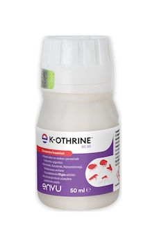 K-othrine Sc 50 En İyi Haşere Böcek Tahtakurusu Sinek Kene İlacı Kokusuz Zararsız Skt 2028 K-othrine Sc 50 En İyi Haşere Böcek Tahtakurusu Sinek Kene İlacı Kokusuz Zararsız Skt 2028