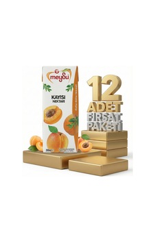 Meysu Nektar Kayısı 12x200 Ml
