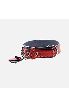 Zampa Flotter M Köpek Boyun Tasması 54 Cm Zampa Flotter M Köpek Boyun Tasması 54 Cm