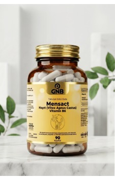 Gnb Mensact Hayıt Vitex Agnus Castus Vitamin B6 Kadın Destek Takviyesi 90 Kapsül Gnb Mensact Hayıt Vitex Agnus Castus Vitamin B6 Kadın Destek Takviyesi 90 Kapsül