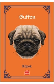 Köpek - Georges - Louis Leclerc De Buffo - Kırmızı Kedi Köpek - Georges - Louis Leclerc De Buffo - Kırmızı Kedi