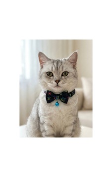 Papyonlu Kedi Boyun Tasması Ayarlanabilir Papyon Fiyonk Zilli Siyah Papyonlu Kedi Boyun Tasması Ayarlanabilir Papyon Fiyonk Zilli Siyah