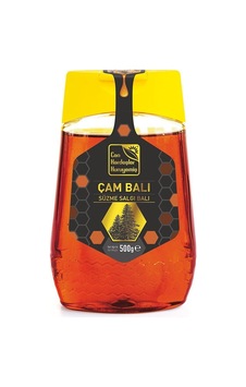 Çam Balı Sıkmalık 500 G