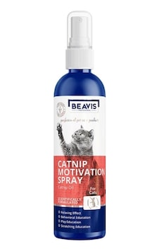 Beavis Catnip Kediler için Oyun ve Eğitim Spreyi 100 ML Beavis Catnip Kediler için Oyun ve Eğitim Spreyi 100 ML