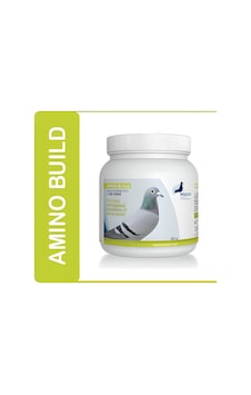 PIGEON Health Performance, AMINO BUILD 500 Gr. (Güvercin Genel Ba PIGEON Health Performance, AMINO BUILD 500 Gr. (Güvercin Genel Ba