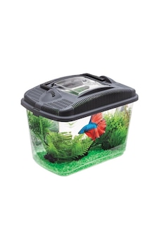 Aquael Betta Kit Aquael Betta Kit